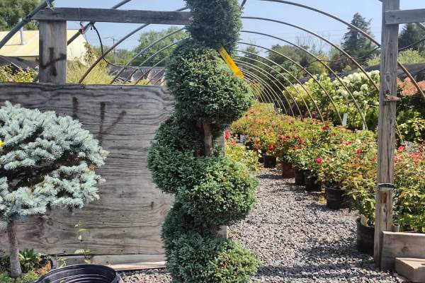 Bucks County Nursery and Florist