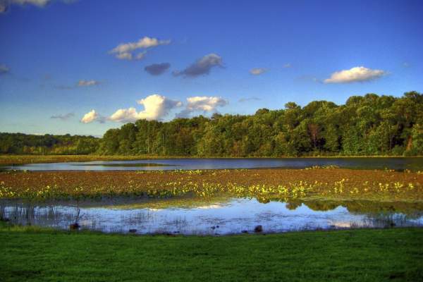 Lake Towhee Park
