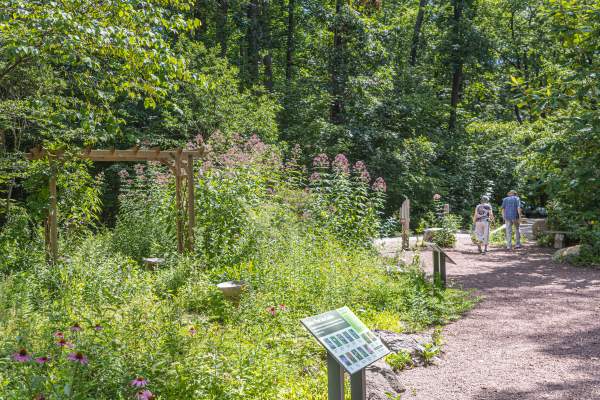 Bowman's Hill Wildflower Preserve