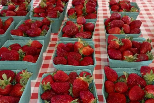 Charlann Farms
