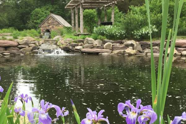 Bowman's Hill Wildflower Preserve