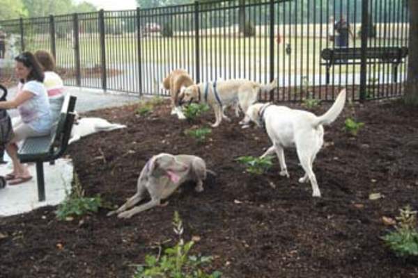 Bucks County Off-Leash Dog Park Core Creek Park