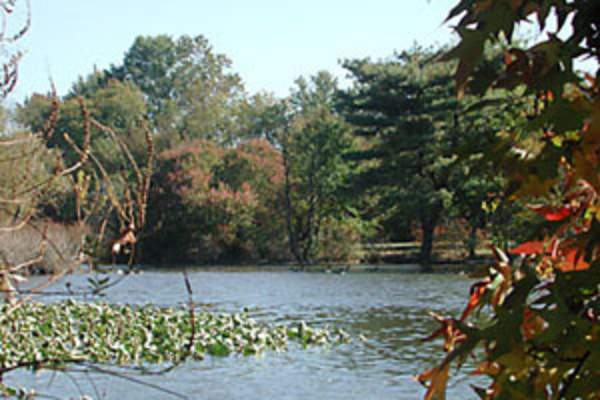 Silver Lake Park - Coastal Plain Forest