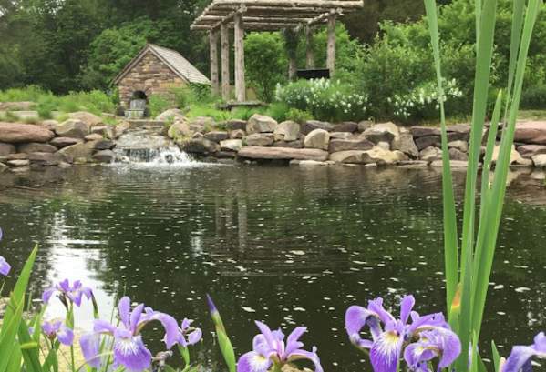 Bowman's Hill Wildflower Preserve