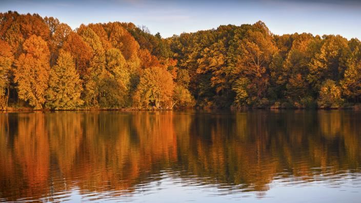 Core Creek Park