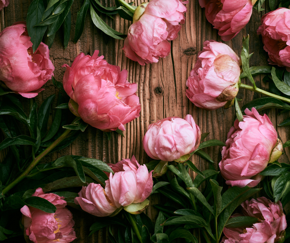 Magnificent Peonies with Greenery Bouquet