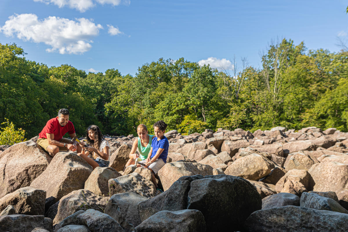 se permiten perros en el parque ringing rocks