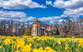 Fonthill Castle