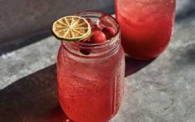 Terrain drinks