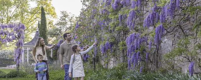 Andalusia Gardens