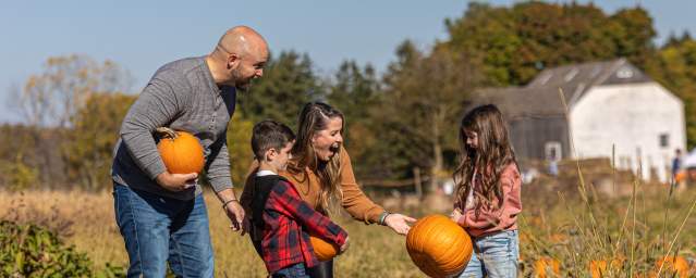 A Family Pumpkin Picking In Bucks County