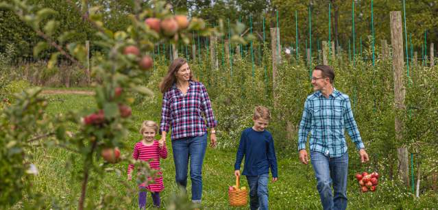 Apple Picking at Rustic Valley Orchards