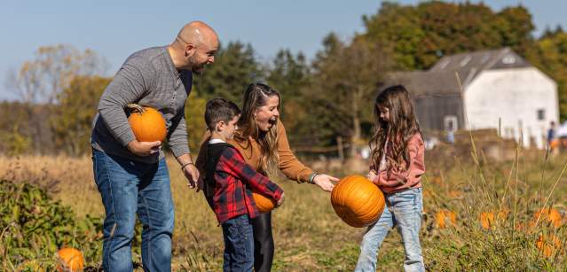 A Family Pumpkin Picking In Bucks County