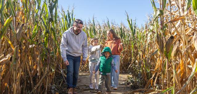 Shady Brook Farm Fall Fest