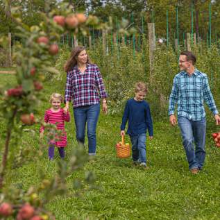 Apple Picking at Rustic Valley Orchards