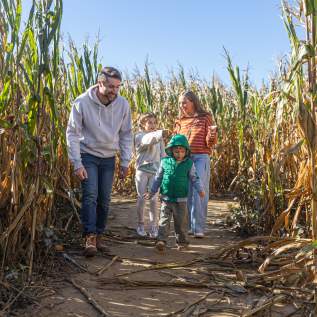 Shady Brook Farm Fall Fest