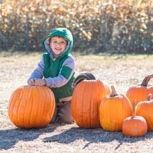 Pumpkin Picking at Shady Brook Farm