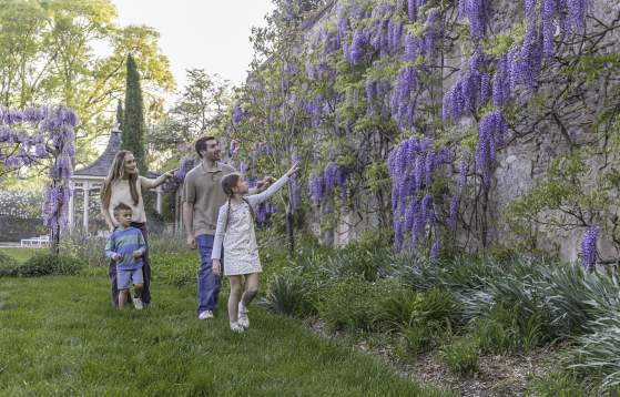 Andalusia Gardens