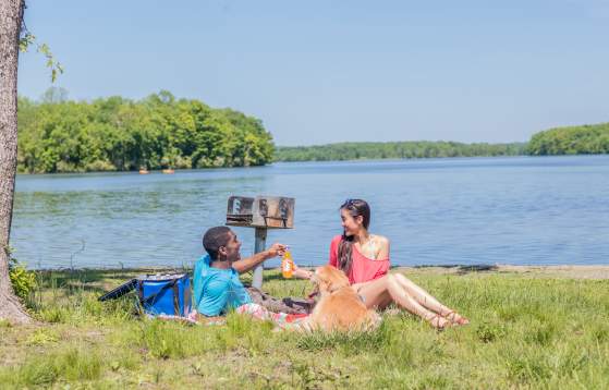 Picnic at Lake Nockamixon