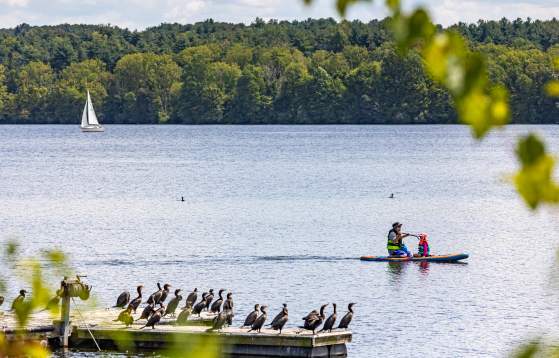 Lake Nockamixon