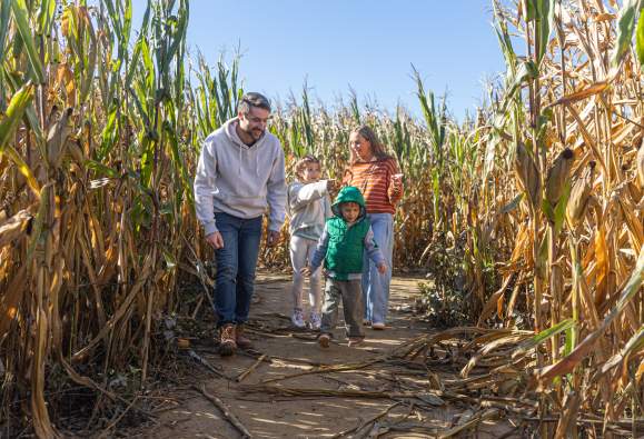 Shady Brook Farm Fall Fest
