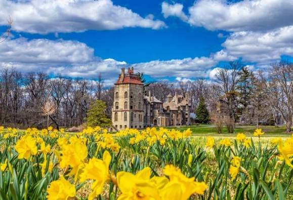 Fonthill Castle