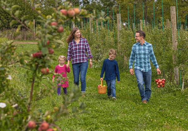 Apple Picking at Rustic Valley Orchards