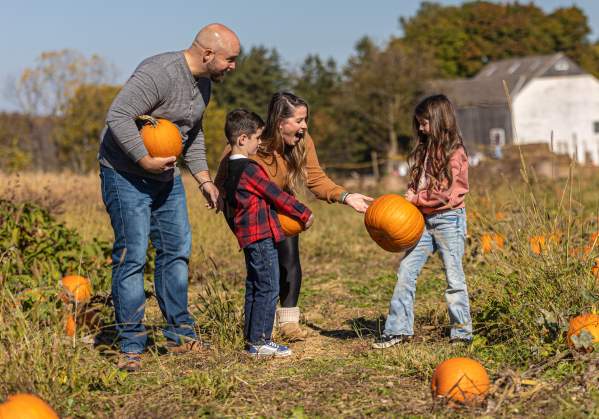 A Family Pumpkin Picking In Bucks County