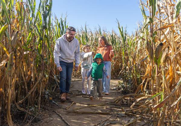 Shady Brook Farm Fall Fest