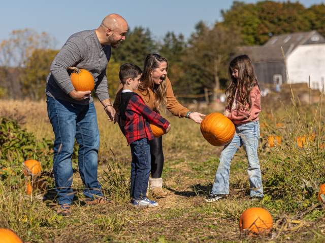 A Family Pumpkin Picking In Bucks County