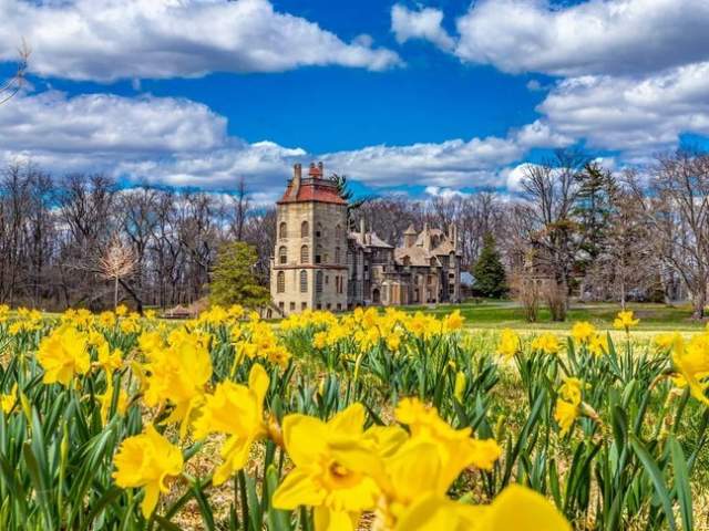 Fonthill Castle