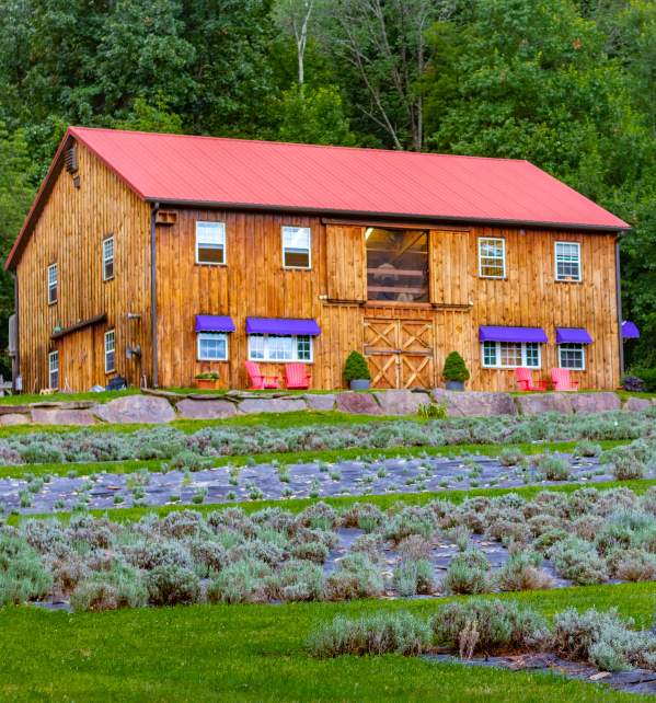 Peace Valley Lavender Farm