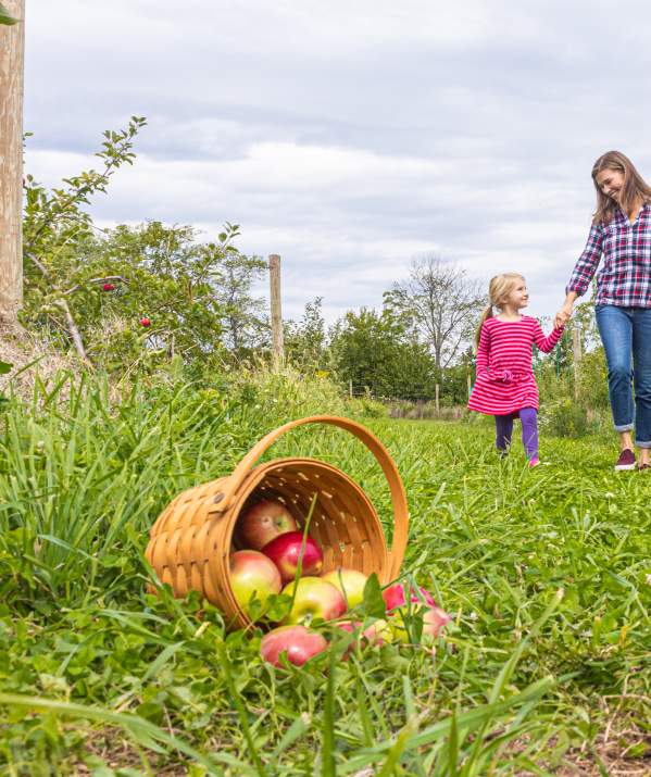 Pick-your-own Fun in Bucks County