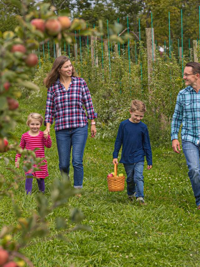 Apple Picking at Rustic Valley Orchards