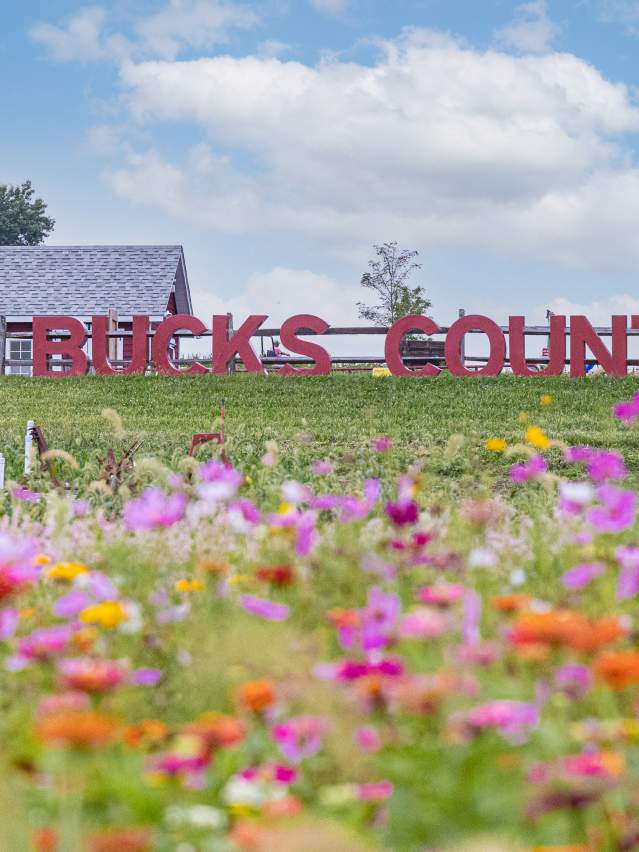 Bucks County sign