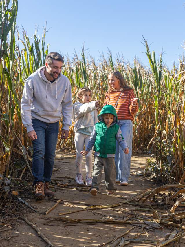 Shady Brook Farm Fall Fest