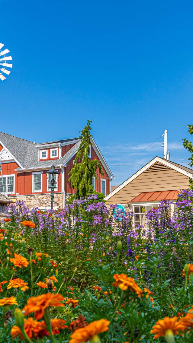 Peddler's Village Spring