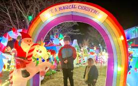 Residential Lights blog- Misfit Meadows