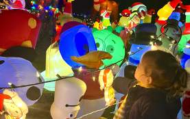 Residential Lights blog- Misfit Meadows