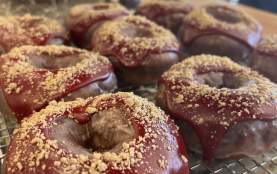 Curiosity Doughnuts