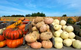 For more than 100 years, the Fleming family has been building a local legacy at Shady Brook Farm.