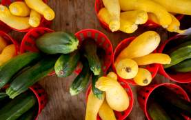 Rice's offers with a wide variety of merchandise and products for all your shopping needs!