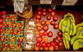 Family owned and operated market open Tue through Sun year-round. Our own hormone-free beef, glass-bottled milk, vegetables, birdfeed, birdfeeders, bedding plants, trees, shrubs, flowers, pumpkins, mums, Christmas trees and much more.