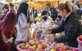 Apple Festival