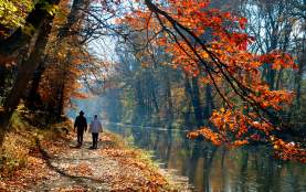 Delaware Canal Towpath