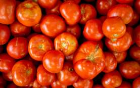 Tomatoes at Market at DelVal