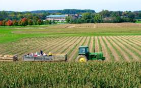 Shady Brook Farm