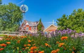 Peddler's Village Spring