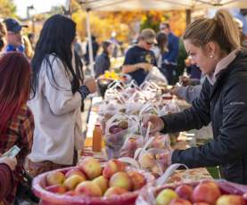 Apple Festival