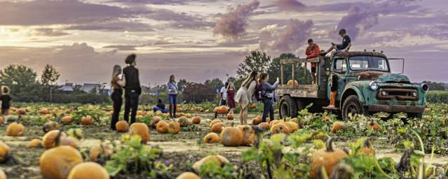 VBC Shady Brook Farm Fall Fest 2023 28